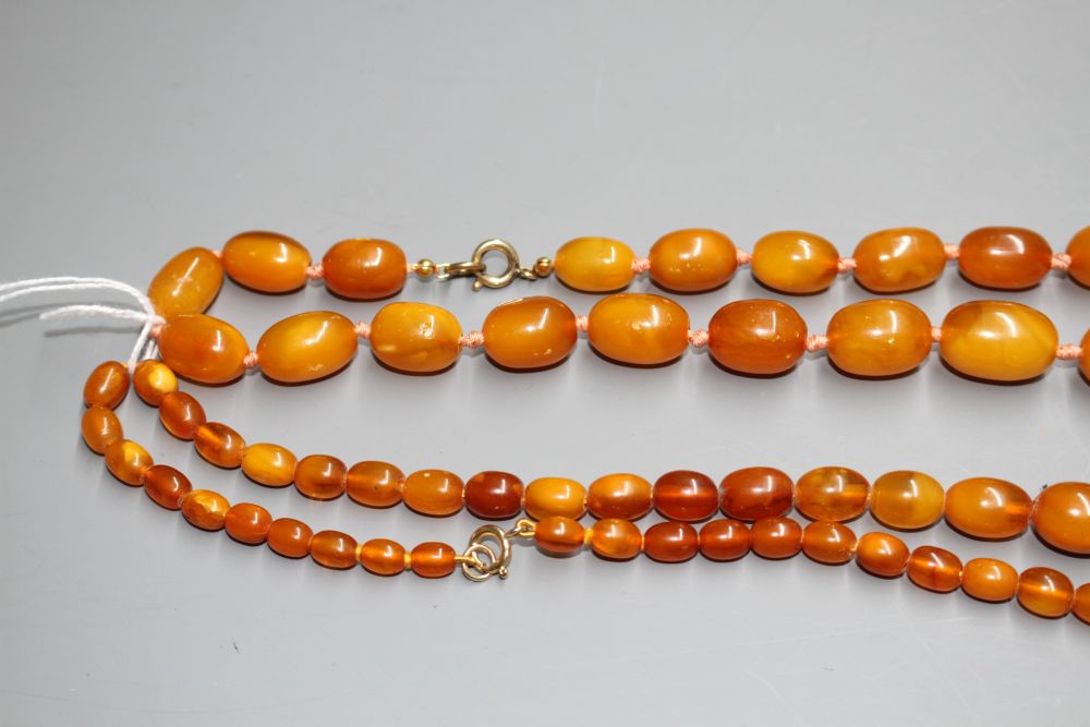 Two single strand graduated oval amber bead necklaces, with yellow metal clasps, one stamped 375,